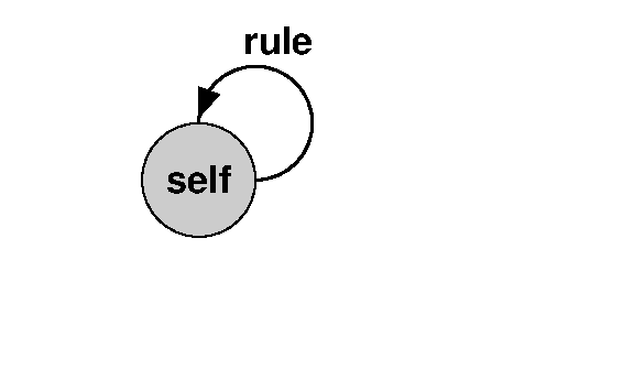self rule
